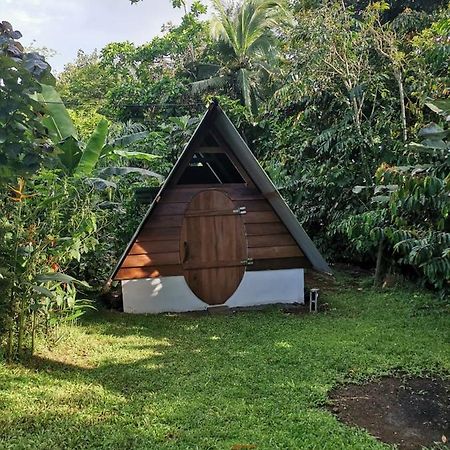 Cabana Chalet Cariari  Dış mekan fotoğraf